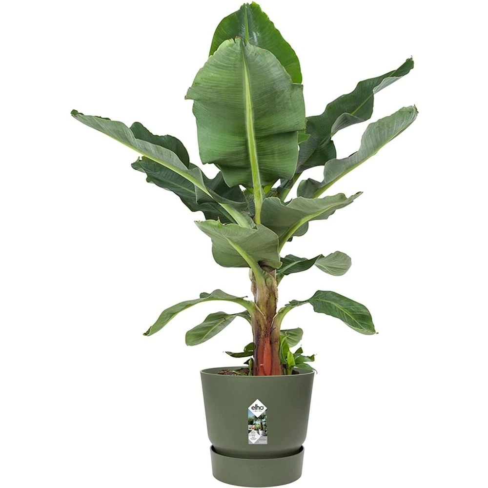 Elho 25cm Leaf Green Greenville Round Planter - Image 2